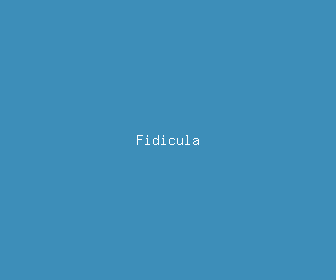 fidicula meaning, definitions, synonyms