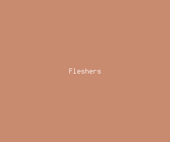 fleshers meaning, definitions, synonyms