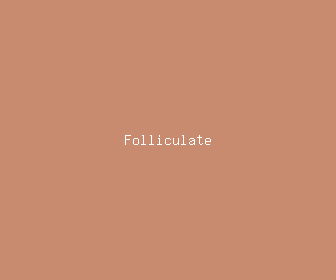 folliculate meaning, definitions, synonyms
