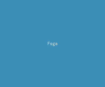 fsga meaning, definitions, synonyms