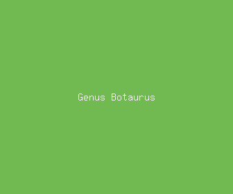 genus botaurus meaning, definitions, synonyms