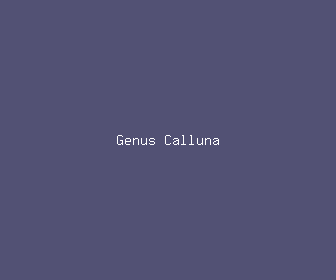 genus calluna meaning, definitions, synonyms