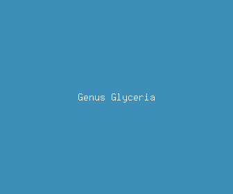 genus glyceria meaning, definitions, synonyms