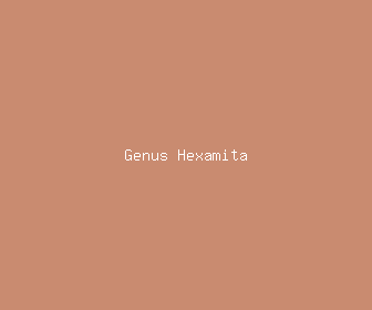genus hexamita meaning, definitions, synonyms