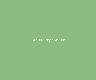genus pagophila meaning, definitions, synonyms