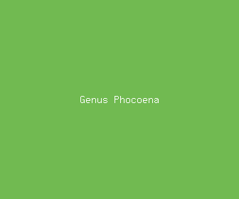 genus phocoena meaning, definitions, synonyms