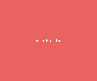 genus photinia meaning, definitions, synonyms