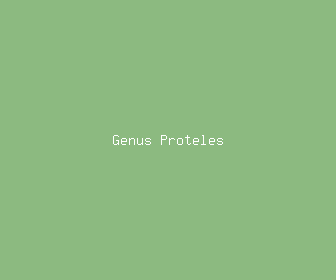 genus proteles meaning, definitions, synonyms