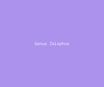 genus zalophus meaning, definitions, synonyms
