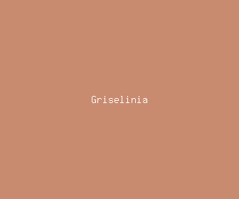 griselinia meaning, definitions, synonyms