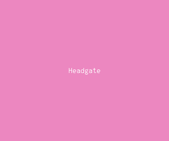 headgate meaning, definitions, synonyms
