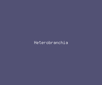 heterobranchia meaning, definitions, synonyms