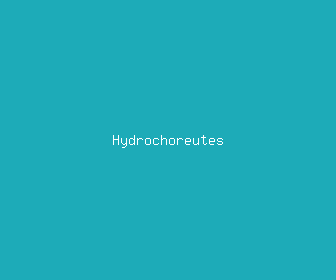 hydrochoreutes meaning, definitions, synonyms