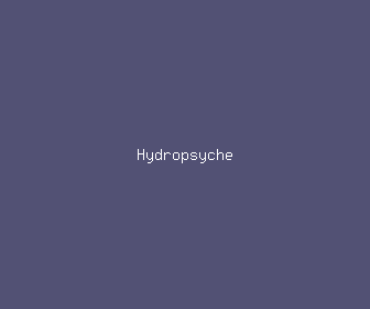 hydropsyche meaning, definitions, synonyms