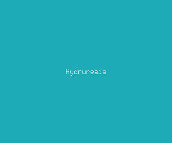 hydruresis meaning, definitions, synonyms