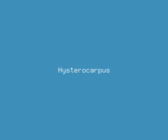 hysterocarpus meaning, definitions, synonyms