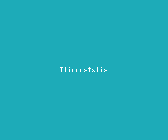 iliocostalis meaning, definitions, synonyms