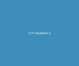 inframammary meaning, definitions, synonyms