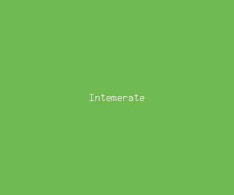 intemerate meaning, definitions, synonyms
