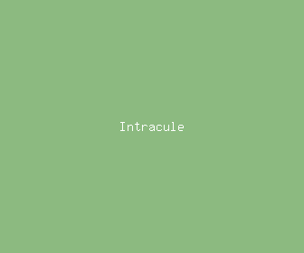 intracule meaning, definitions, synonyms