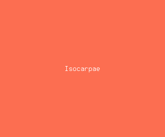 isocarpae meaning, definitions, synonyms