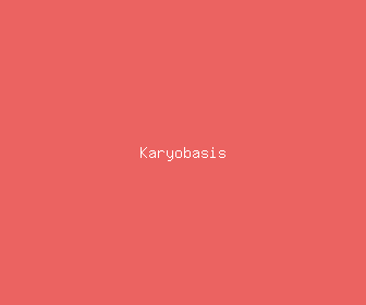 karyobasis meaning, definitions, synonyms