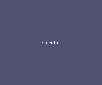 lanceolate meaning, definitions, synonyms