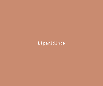 liparidinae meaning, definitions, synonyms