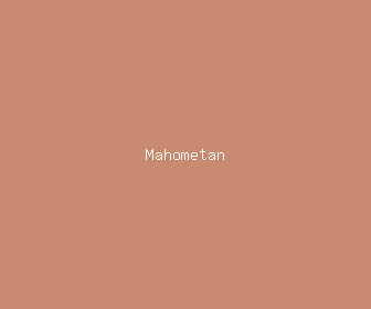 mahometan meaning, definitions, synonyms
