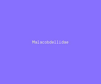 malacobdellidae meaning, definitions, synonyms