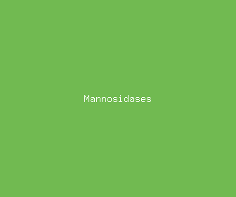 mannosidases meaning, definitions, synonyms