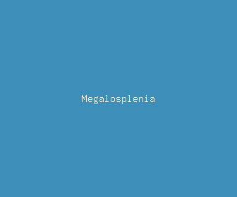megalosplenia meaning, definitions, synonyms