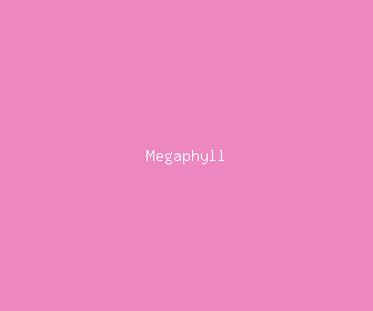 megaphyll meaning, definitions, synonyms