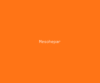mesohepar meaning, definitions, synonyms