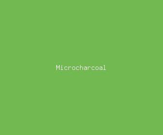 microcharcoal meaning, definitions, synonyms
