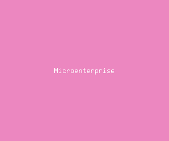microenterprise meaning, definitions, synonyms