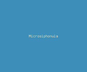 microsiphonula meaning, definitions, synonyms