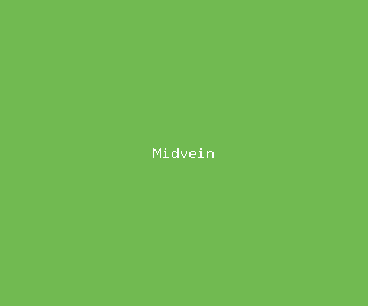 midvein meaning, definitions, synonyms