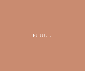 mirlitons meaning, definitions, synonyms