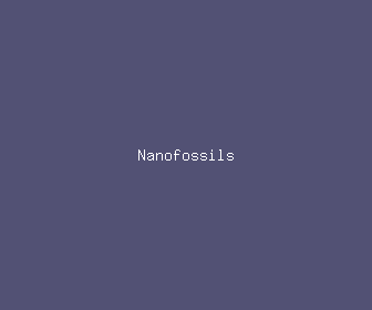 nanofossils meaning, definitions, synonyms