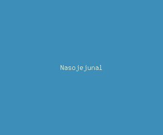 nasojejunal meaning, definitions, synonyms