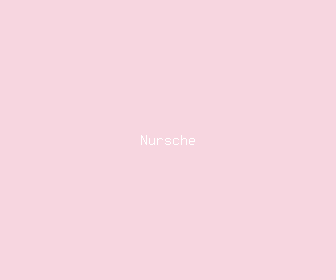 nursche meaning, definitions, synonyms
