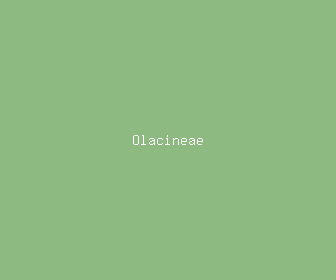 olacineae meaning, definitions, synonyms