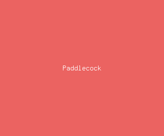 paddlecock meaning, definitions, synonyms
