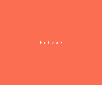 palliasse meaning, definitions, synonyms