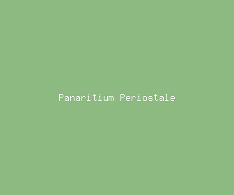 panaritium periostale meaning, definitions, synonyms