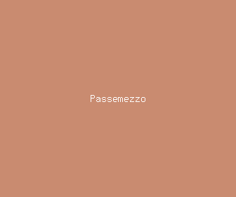 passemezzo meaning, definitions, synonyms