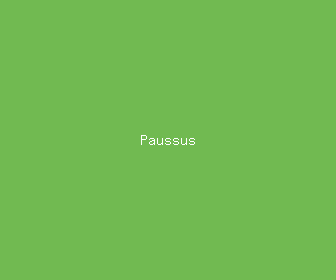 paussus meaning, definitions, synonyms