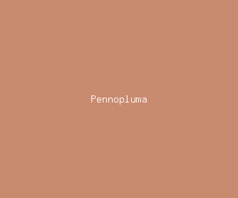 pennopluma meaning, definitions, synonyms