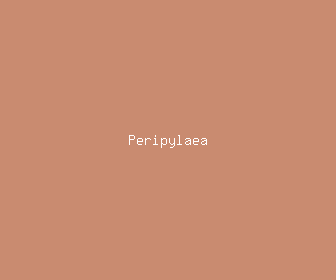 peripylaea meaning, definitions, synonyms